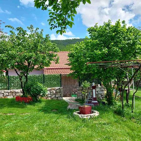 Village Flower Ivy Montenegro Nikšić Extérieur photo