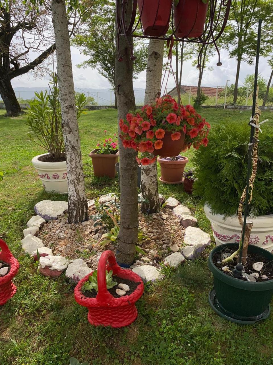 Village Flower Ivy Montenegro Nikšić Extérieur photo