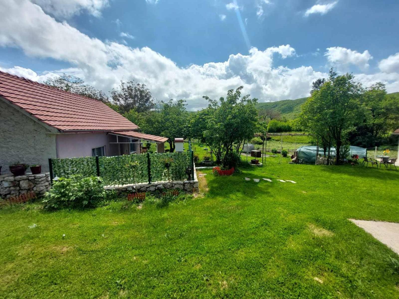 Village Flower Ivy Montenegro Nikšić Extérieur photo